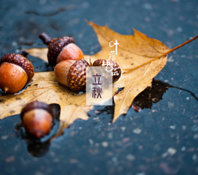 立秋快乐的心情说说 2018立秋节气感慨的句子短语朋友圈